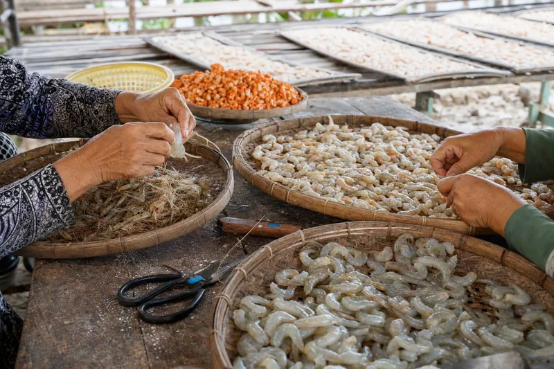 Làng nghề tôm khô Vinh Kim