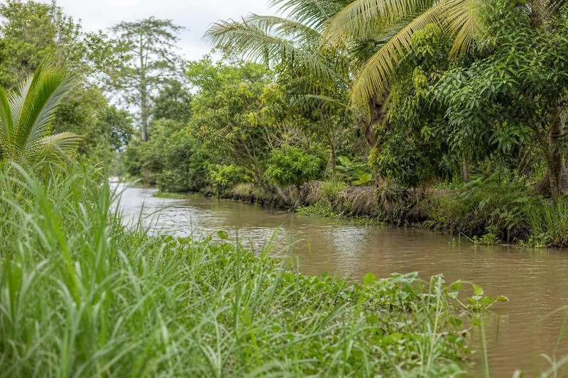 Rạch Cầu Lầu