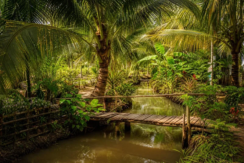 Vườn dừa sinh thái Cầu Kè